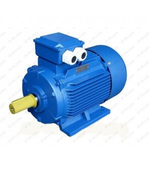 Электродвигатель DIN ESQ 71A2-SDN-MC2-0.37/3000 - Лапы (B3)