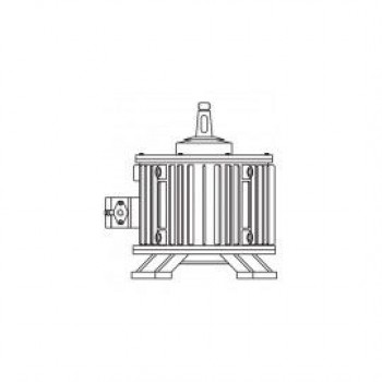 Взрывозащищенный электродвигатель для градирен ВАСОУ-22-14 - IM 9633 (вал вверх, лапы снизу)