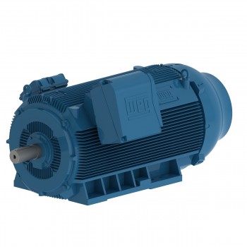 Электродвигатель 200 kW,50 Hz,988 rpm,400 V,IP55,IC411 - TEFC