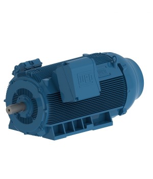 HGF Non-Sparking 160 kW 6P 315C/D/E 3Ph 400 V 50 Hz IC411 - TEFC - B3R(E)