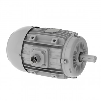 220/380 V 50 Hz 8P - W22 Fan and Exhaust 200°C 2h IE1 0.55 kW IC411 - TEFC - B30L(D)