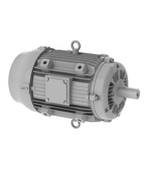 460 V 60 Hz 2P - W22 Fan and Exhaust 200°C 2h IE3 11 kW IC411 - TEFC - B30L(D)