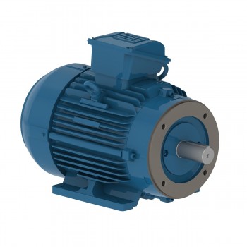 Электродвигатель 0.12 kW,50 Hz,2810 rpm,220/380 V,IP55,IC411 - TEFC