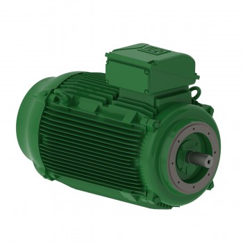 Электродвигатель 110 kW,50 Hz,2980 rpm,400/690 V,IP55,IC411 - TEFC