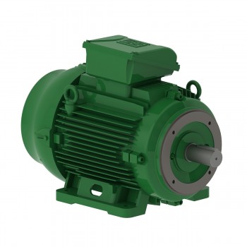 Электродвигатель 11 kW,50 Hz,2955 rpm,400/690 V,IP55,IC411 - TEFC
