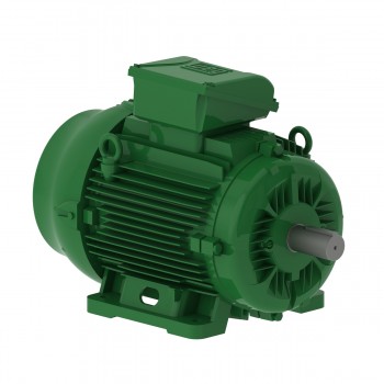 Электродвигатель 11 kW,60 Hz,3560 rpm,460 V,IP55,IC411 - TEFC