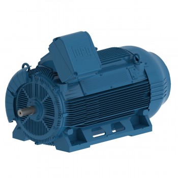 Электродвигатель 160 kW,60 Hz,888 rpm,400 V,IP55,IC411 - TEFC