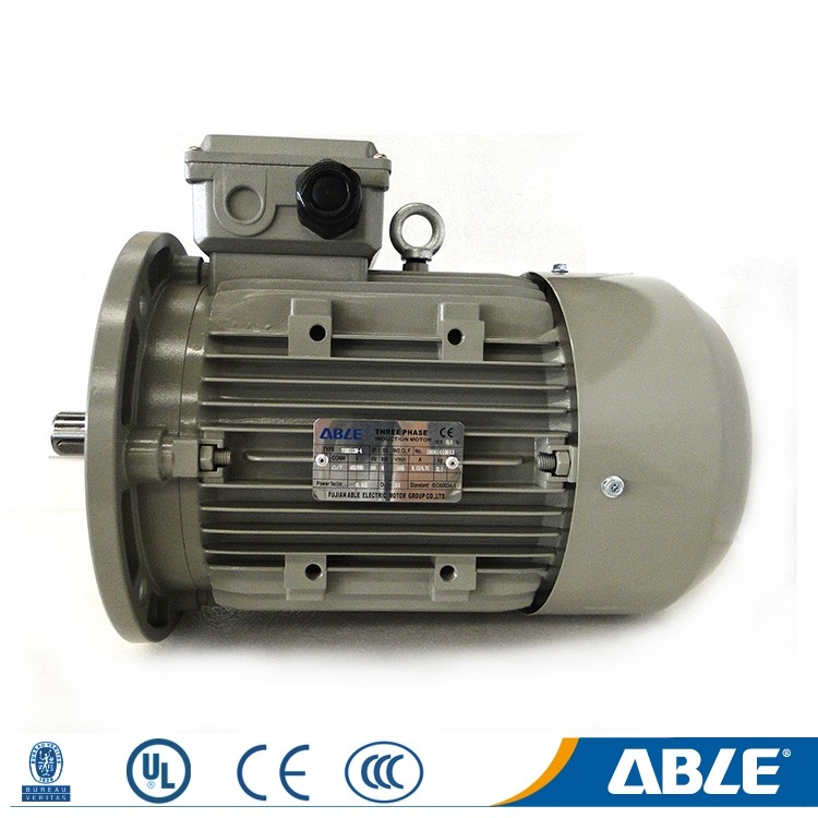 Пример фирменного электродвигателя Able в стандартном исполнении